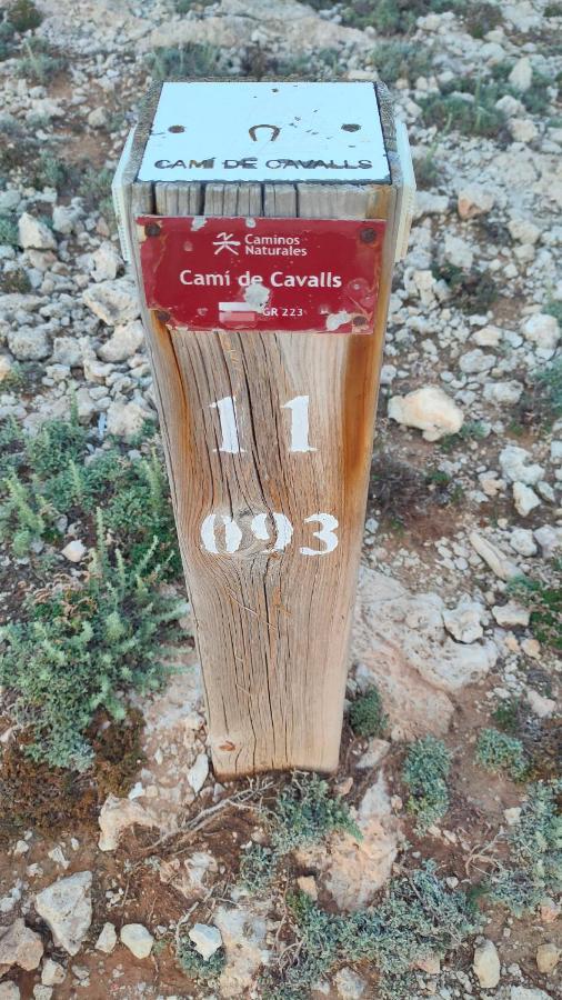 에스 메르카달 Addaia Coves Noves Playa Arenal D'En Castell 아파트 외부 사진